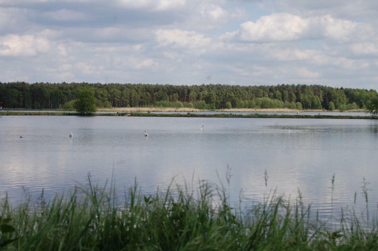 Center Angelos Bronkow Екстер'єр фото